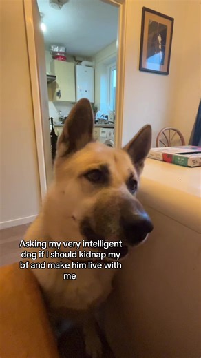 Should I Kidnap My Boyfriend to End Long-Distance?