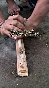 Making fire the old way using the fire plow method #fireplow #primitivefirelighting #fireskills #survival #firemaking #selfsufficiency #bushcraft #survivalfire | dalemgumino