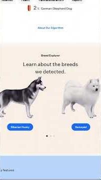 I try Wisdom DNA test on my dog | Lana DNA result