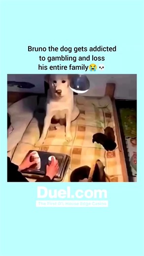 Dice Life IG on Instagram: "🎲 Gambling isn’t just luck; it’s strategy too. Many people walk into a casino or online game thinking they can win big overnight, but the real pros know that preparation matters more than luck. Start by understanding the game you want to play. Whether it’s poker, blackjack, or slots, knowing the rules, odds, and payout structure is your first step to making smarter bets. Knowledge gives you an edge, even when chance is involved. 💡 Set strict limits before you play.