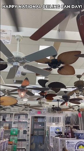 Happy National Ceiling Fan Day!! #ncfd #Shorts by ‪@Videodrone226‬