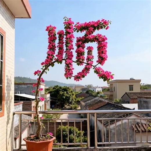 朋友大数据的力量——停止随机发布