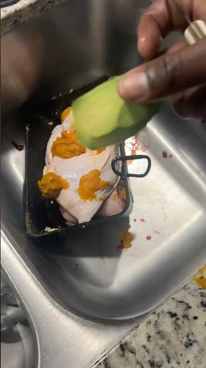 Dogs Eating Avocado — Safe or Dangerous