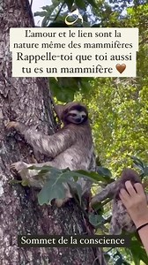 L’amour et le lien sont la nature même des mammifères 🤎 | Sommet de la Conscience