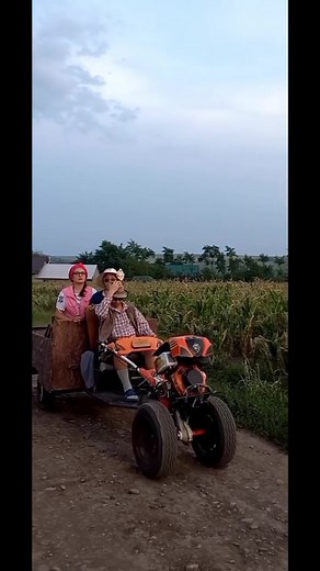 La prășit in camp ca ne au prins buruienile din urma 🌾🌱 #gheorghesiemanuela #familiacurcuduș #Gheorghe #emanuela #sânzâiana #foryou #fy #fyp