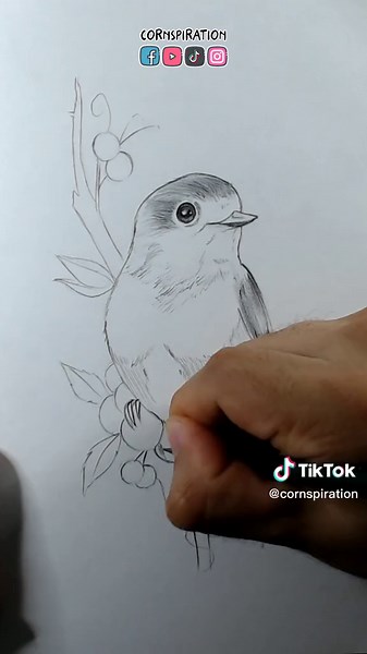 Cómo dibujar un Pajarito 👨‍🎨👩‍🎨 #dibujo #arte #tutorial
