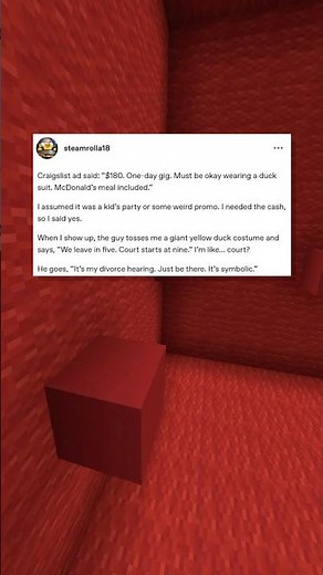 craigslist duck in court 🐥