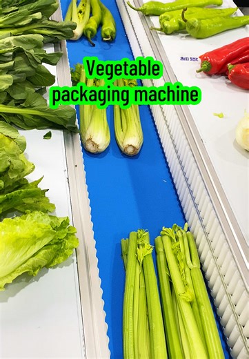 Vegetable packaging machine#packingmachinery #fruitpackagingmachine #Plasticwrappackagingmachine #wrappingmachine #vegetablepackagingmachine