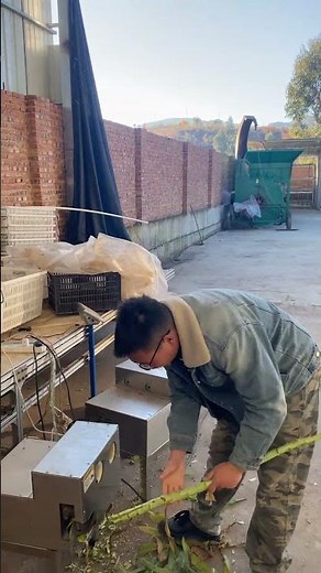 Manual vs. Automated Processing: Efficiency Comparison