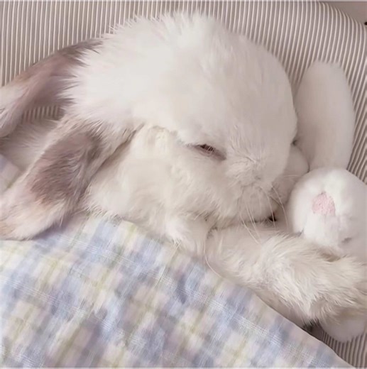 Adorable Lawlight Moments from Death Note