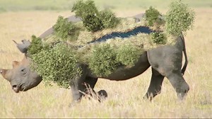 Track 3D objects onto Footage using Lockdown in After Effects