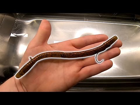 INURIG Underwater Footage (Zoom Magnum Trick Worm)