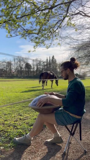 1.1K views · 48 reactions | Unfortunately these horses were not...