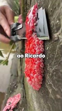 Meu marido sempre brincava que me deixaria pela minha melhor amiga.