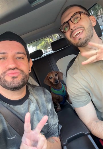 Check-up de Rotina com Meu Cachorro Ranzinza