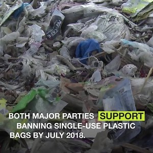 The verdict is in! - Plastic bags are responsible for catastrophic damage to marine ecosystems in Australia and across the globe. It's time to follow Tasmania, South Australia, Northern Territory & ACT to Ban the Bag in New South Wales. Sign our petition to Ban the Bag and help make our oceans cleaner. | Greenpeace Australia Pacific | Facebook