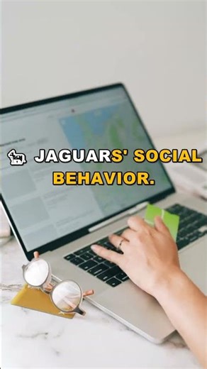 The Mysterious Clicking Sound of Jaguars | Nature's Secrets Revealed