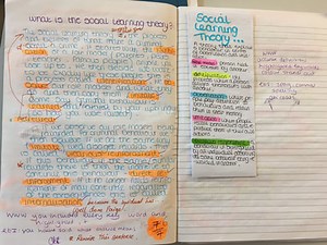 Social Learning Theory for Crim Behaviour