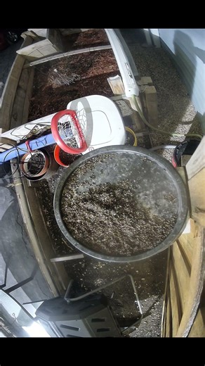 Robotic Feeder Sends Weekly Seed Reports - 21 April 2026 #homelab #garden #shorts