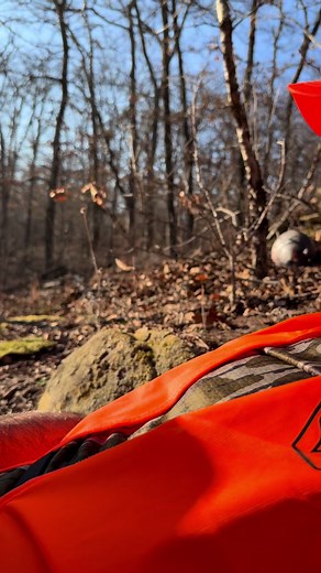 #hunting #armadillo #oklahoma | hunting