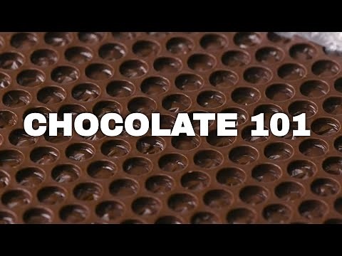 Everything You've Ever Wanted to Know About Chocolate, Explained