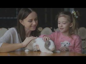 Rabbit OS: Transforming Human-Computer Interaction with AI in 2024