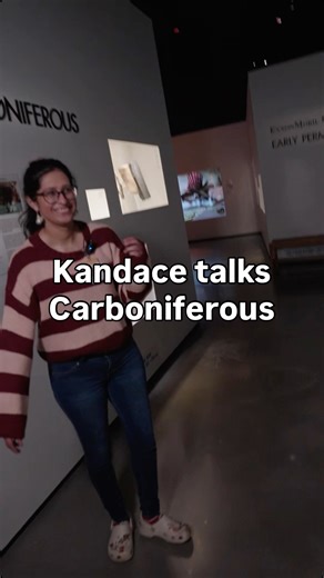 Houston Museum of Natural Science on Instagram: "HIGH OXYGEN. BIG BUGS. NIGHTMARE FUEL. GOT IT? 😆 Basically, the Carboniferous was one crazy fever dream of an era! Take a walk through our corner Carboniferous creatures in the Morian Hall of Paleontology the next time you visit #HMNS. #HoustonMuseum #Science #Insects"