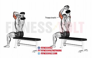 Seated Dumbbell Overhead Tricep Extension for Stronger Arms – Fitness Volt