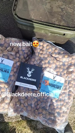 Effective Carp Fishing Techniques with New Bait in Germany