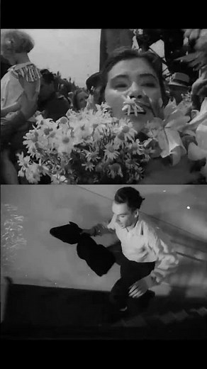 The Beauty of the Cranes are Flying (Летят журавли) (1957)