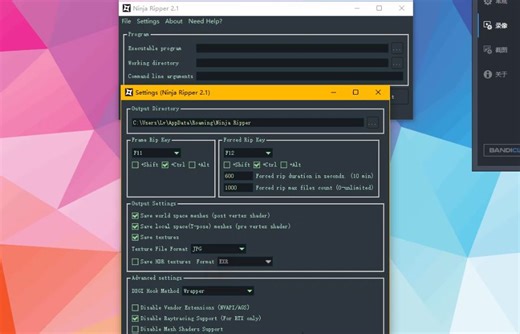 Ninja Ripper 2.1 演示和下载