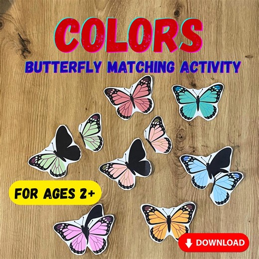 Butterfly Color Matching Activity for Toddlers | Preschool Learning Game (PDF Download) - Etsy