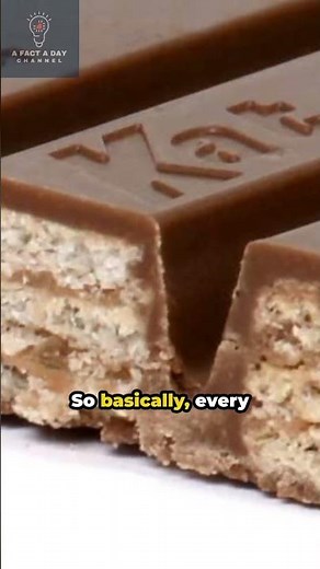 Manufacturing of Kit-Kats #kitkat #chocolate #kitkats