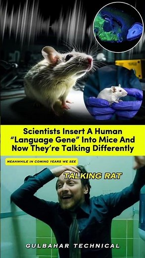 Scientists Insert Human ‘Language Gene’ into Mice! 🧬🐭🗣️