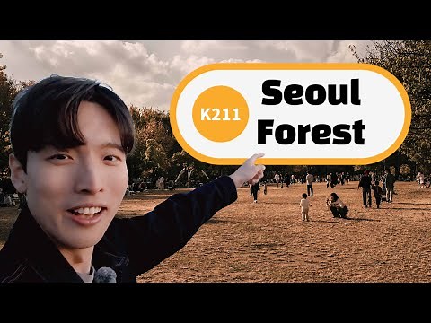 Daily Tour in Seoul Forest (Hidden beauty)