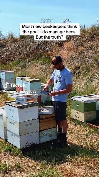 Understanding Beekeeping: Become a Student of Nature