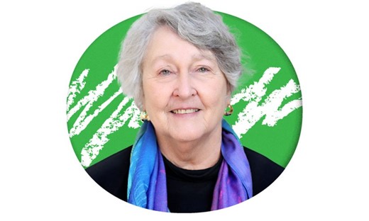 How Early Stress Shapes the Developing Brain