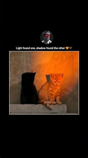 Light found one, shadow found the other 🧡🖤 #shorts