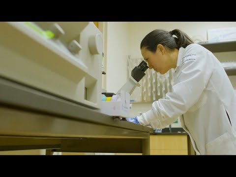 Basic Science Lights the Way Virtual Lecture Series