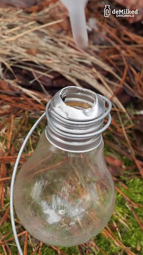 Simple DIY Oil Lamp Perfect for Camping | DeMilked