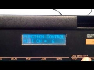 Beetle PR-7 Programmer for the Yamaha TX7, TX216, and TX816