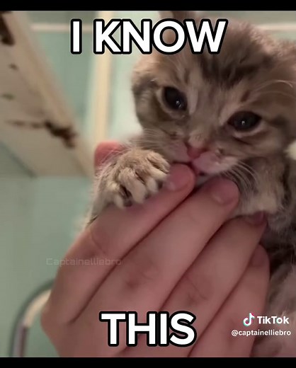 Deadpool and Wolverine Bye Bye Bye Dance Scene