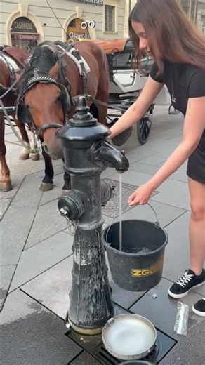 Woman gives water to thirsty horse at tourist spot in Vienna, Austria
