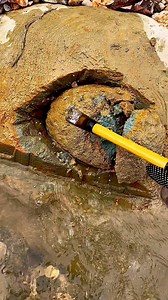Hunting for unique stones and beautiful motifs at gold mining dites. #hunting #gemstone #goldmine #huntinggear #freedom #photography | The GemsHunter