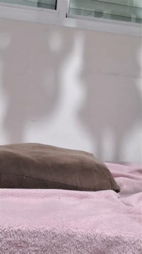 Curtas do Pou- Como ele dorme