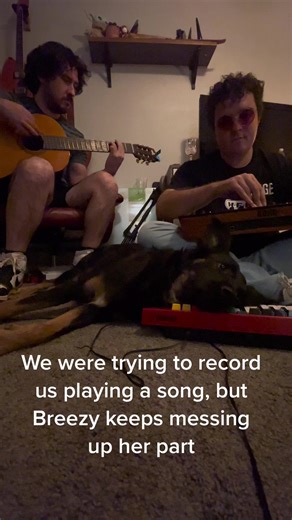 #bloopers #dog #musician