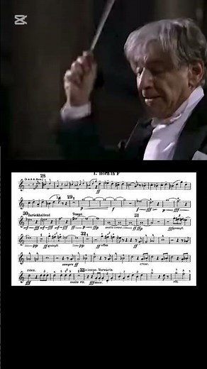 Gustav Mahler -Symphony No. 1 French horn solo