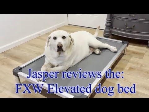 Jasper reviews: FXW Elevated Dog Bed