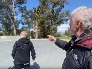 Video: Tree Falls On Redwood City Home During Interview With Neighbor