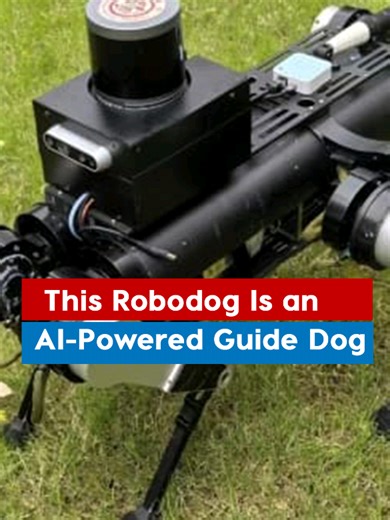 This robodog can assist the visually impaired. A huge asset in China, where there’s a shortage of guide dogs.